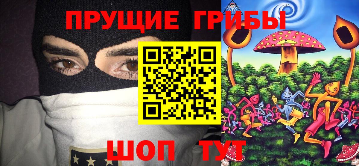 Псилоцибиновые грибы Magic Shrooms  как найти наркотики  Гуково  Вход с VPN 